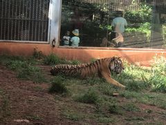 -昆明动物园