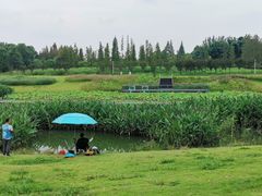 -两河城市森林公园