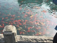 -海底捞火锅(连城广场店)