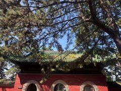 -普乐寺