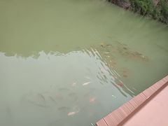 -桑干河大峡谷旅游区