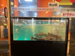 -鱼酷活鱼烤鱼(静安大融城店)