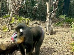 -山姆会员商店(邻瑞广场店)