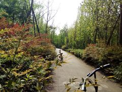 -白鹭湾湿地公园