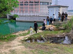 -漕湖湿地公园