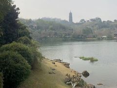 -重庆园博园