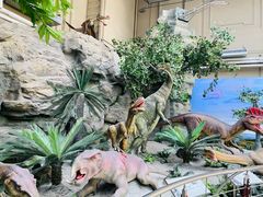 -国家自然博物馆