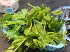 -肖仙仙羊肉汤·始于1996年(郫都店)