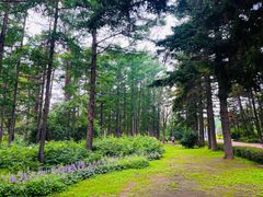 -长春市南湖公园