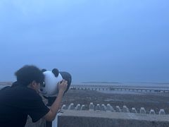 -南汇嘴观海公园