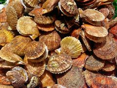 -火锅岛潮牌自助餐厅(天津天佑城店)