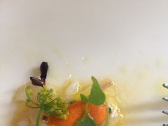 繁星花和萝卜苗-蝶舍·MAISON PAPILLON