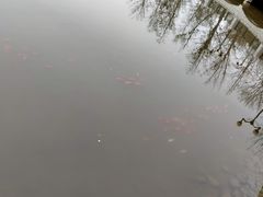 -大连植物园