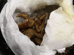 -侠成水上农庄(工业大道店)