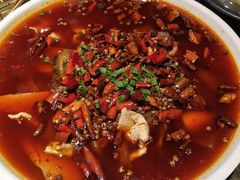 毛血旺-庆合府重庆大排档(紫都城店)