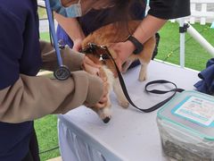 -爱侣宠医·鹦鹉专科·小型哺乳类·异宠专科(灵石路店)