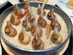 盐烤黄金螺-海味世家·家常菜馆(明州里店)