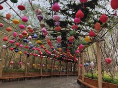 -郑州方特梦幻王国