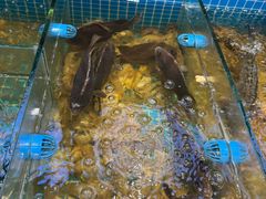 -妈妈菜舟山海鲜(定海古城店)