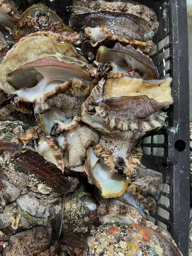 罗源湾8号渔排-"偶然发现的特色美食点,导航上可以找到,其.