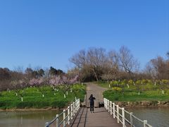 -上海海湾国家森林公园