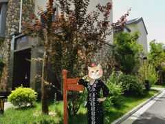-太白山御龙湾温泉