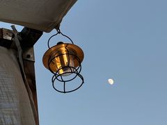 -精酿农场Brew Farm·沙漠绿洲餐厅