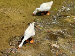 -车溪民俗旅游区