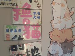 -唐小姐の私宠·宠物洗护美容·撸猫馆·购宠(周浦万达旗舰店)