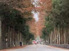 -山王坪喀斯特国家生态公园