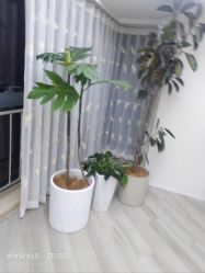 -HEYAN荷妍专业脱毛连锁机构
