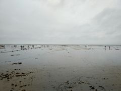 -日照海滨国家森林公园
