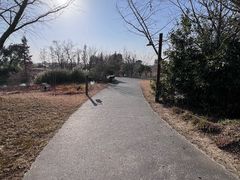 -田园东方蜜桃村的田野营地