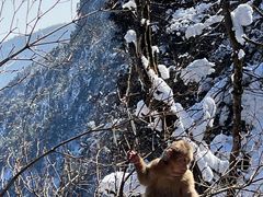 -峨眉山风景名胜区