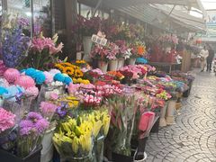 -曲阳花鸟市场(曲阳路店)
