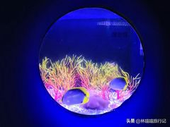 -欢乐海岸海洋奇梦馆