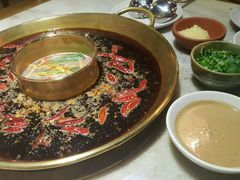 -杨家火锅(国美店)
