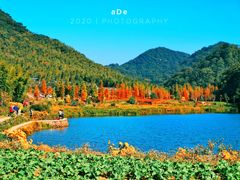 -广州市石门国家森林公园