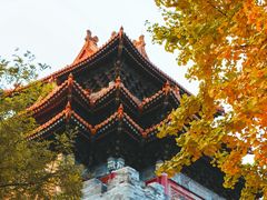-东华门大街小区
