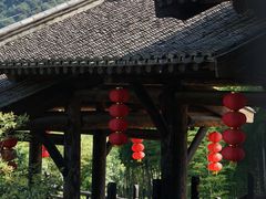 -大唐贡茶院