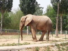 -石家庄市动物园