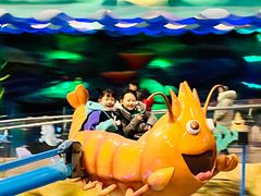 -青岛嘉年华主题乐园