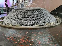 -新世界大丸百货