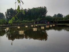 -同銮特种养殖场·龙虾垂钓