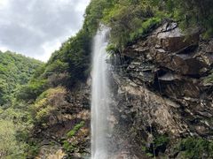 -少华山国家森林公园