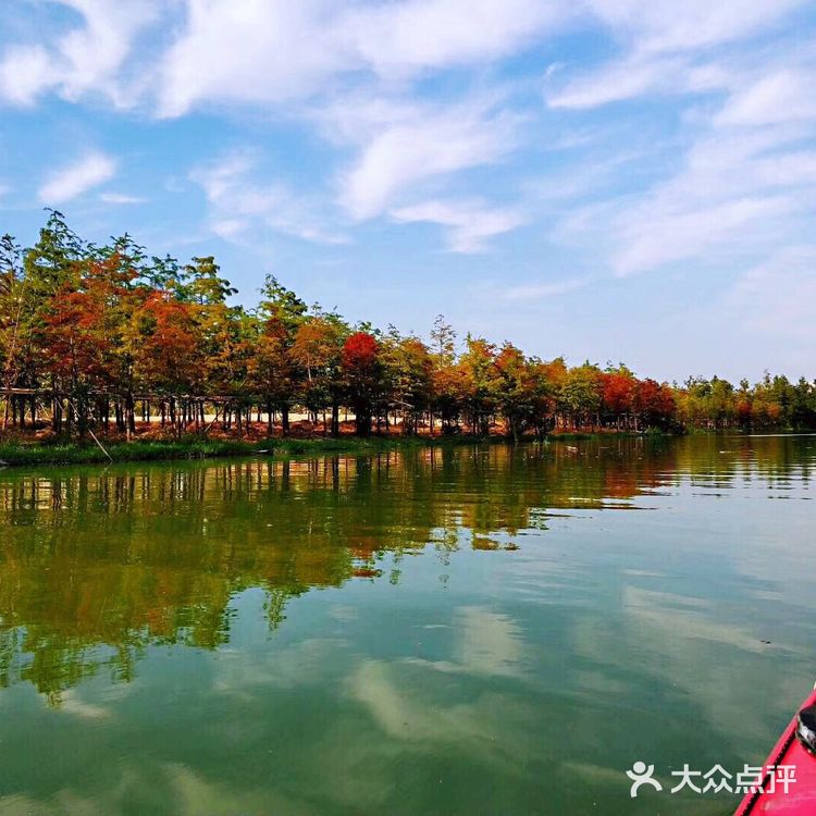 上海游攻略｜打卡本地人爱去的顾村公园⛲️