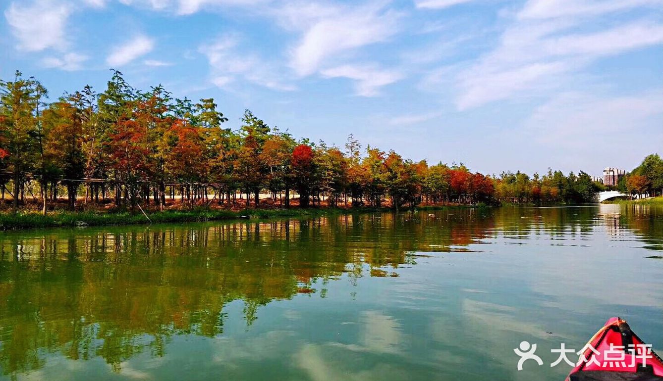 上海游攻略｜打卡本地人爱去的顾村公园⛲️