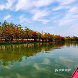 上海游攻略｜打卡本地人爱去的顾村公园⛲️