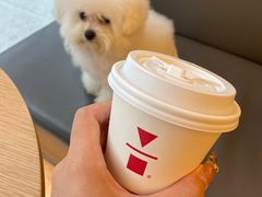 -代数学家algebraist coffee(亲橙里购物中心店)