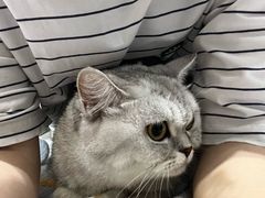 -派特宠物医院(圆融广场店)